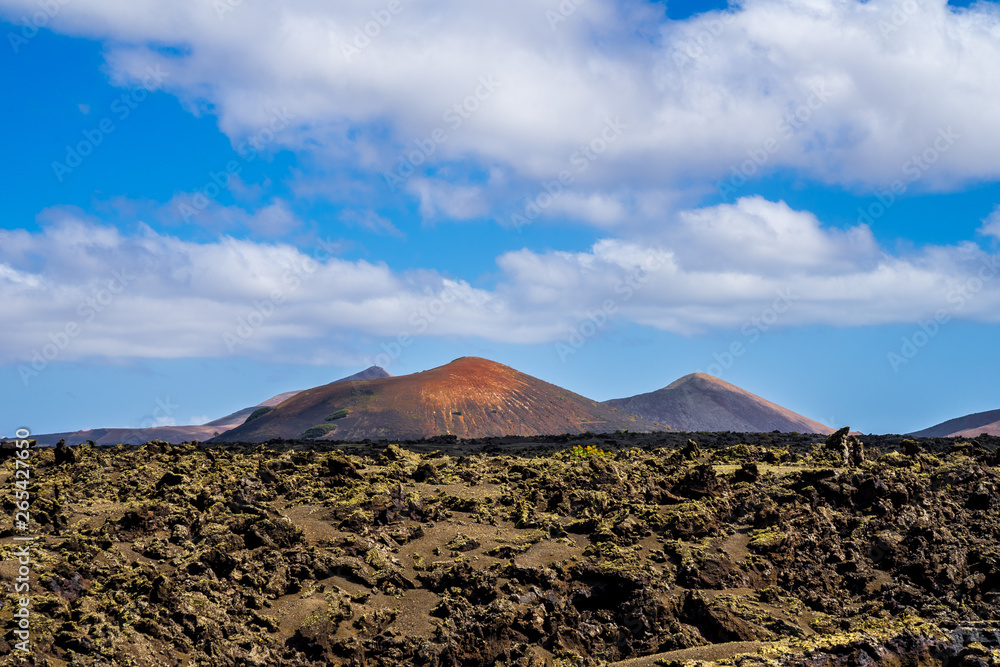 Spain, Lanzarote, Colorful volcanoes behind rough green moss covered lava field