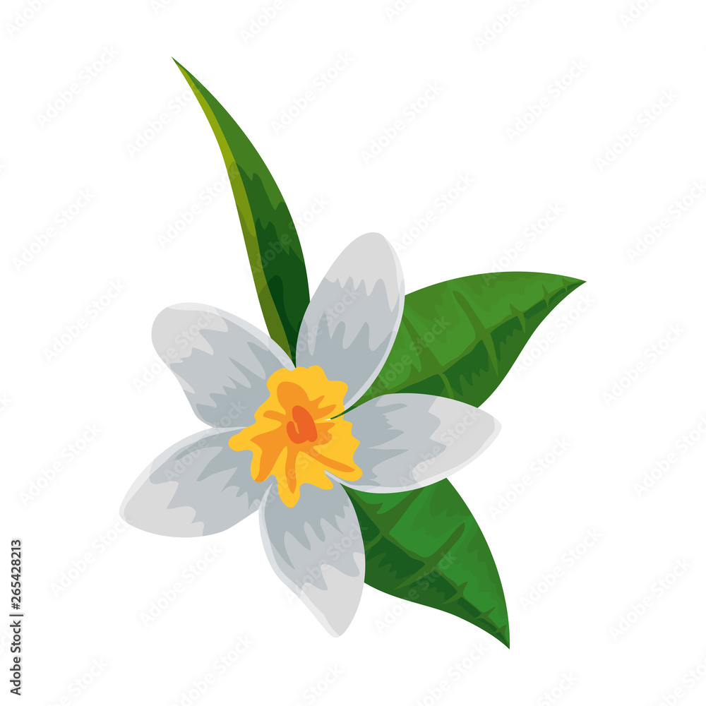 exotic tropical flower and leafs exotic tropical flower and leafs