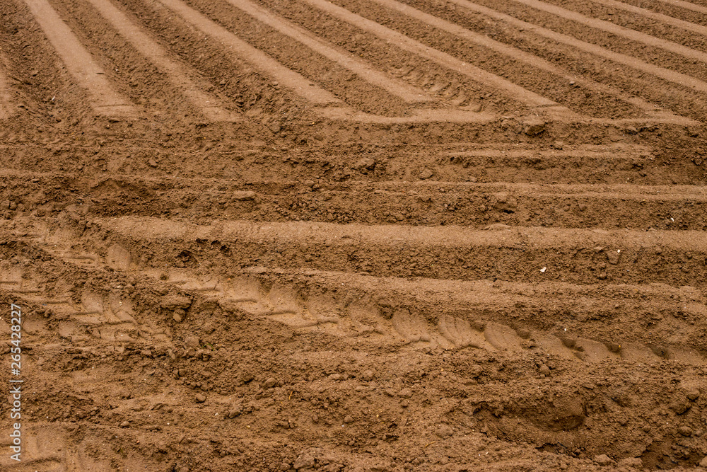 Plowed land for the cultivation of the field Plowed land for the cultivation of the field