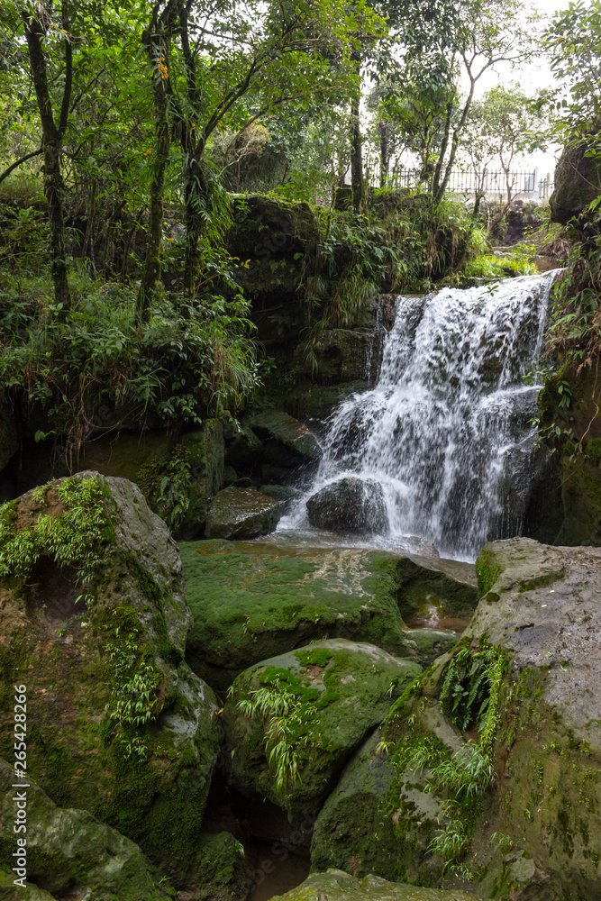 Obraz premium a small waterfall and a pond in the jungle, large moss-covered stones lie nearby