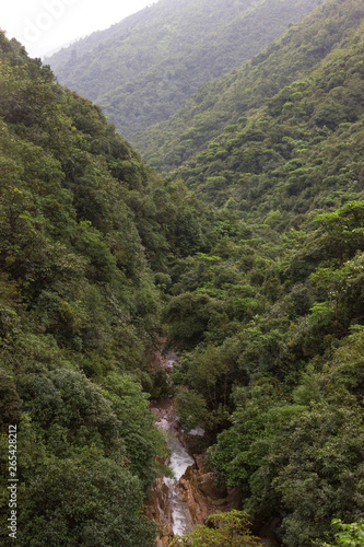 a small waterfall and a river in the middle of the jungle
