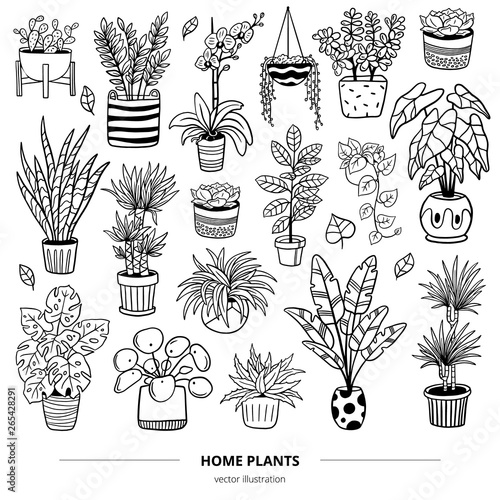 Set of lovely plants in pots. Doodle monochrome vector illustration. Natural design elements can be used for postcards, banners, websites or ads.