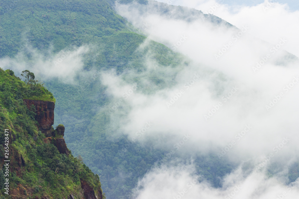 Obraz premium rock overgrown jungles and cloud landscape