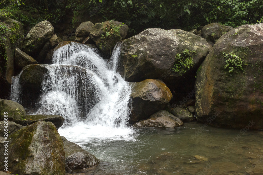 Fototapeta premium small waterfall nearby Double Decker Living Root Bridge in the Indian jungle