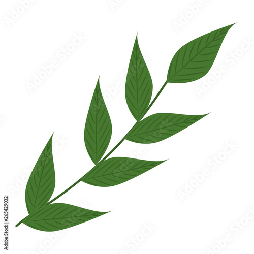 branch with leafs decorative icon