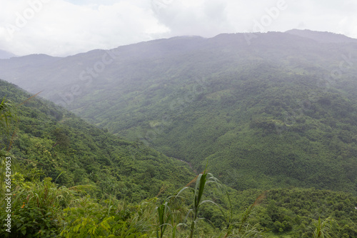 view of the vast territory covered by jungle