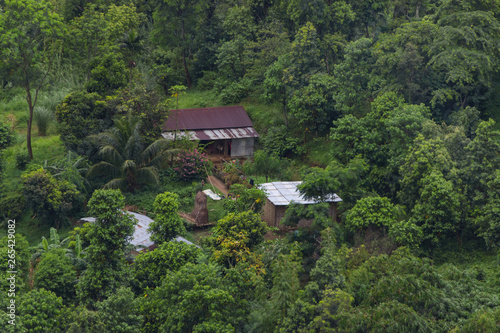 little house in the jungle © Павел Чепелев