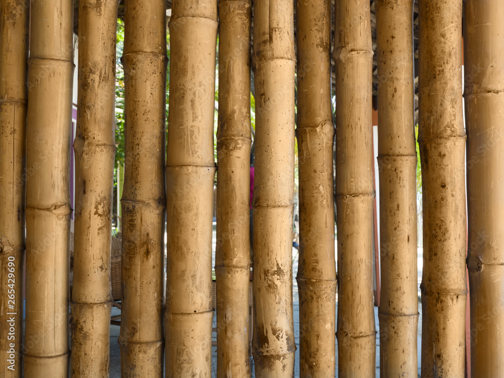 Background of bamboo stalks Kerala, Cochin Background of bamboo stalks Kerala, Cochin