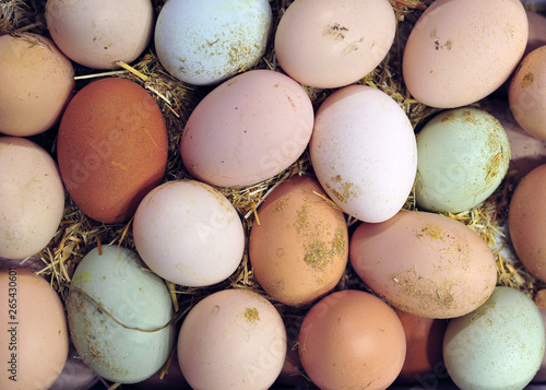 basket with natural colored eggs