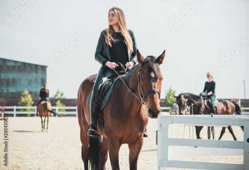 Woman and horse, lady have a hobby time, riding. Horses concept 