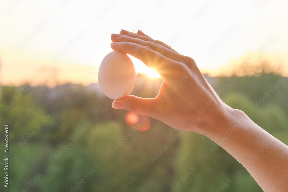 Hand holding one white egg, conceptual photo background sunset golden hour