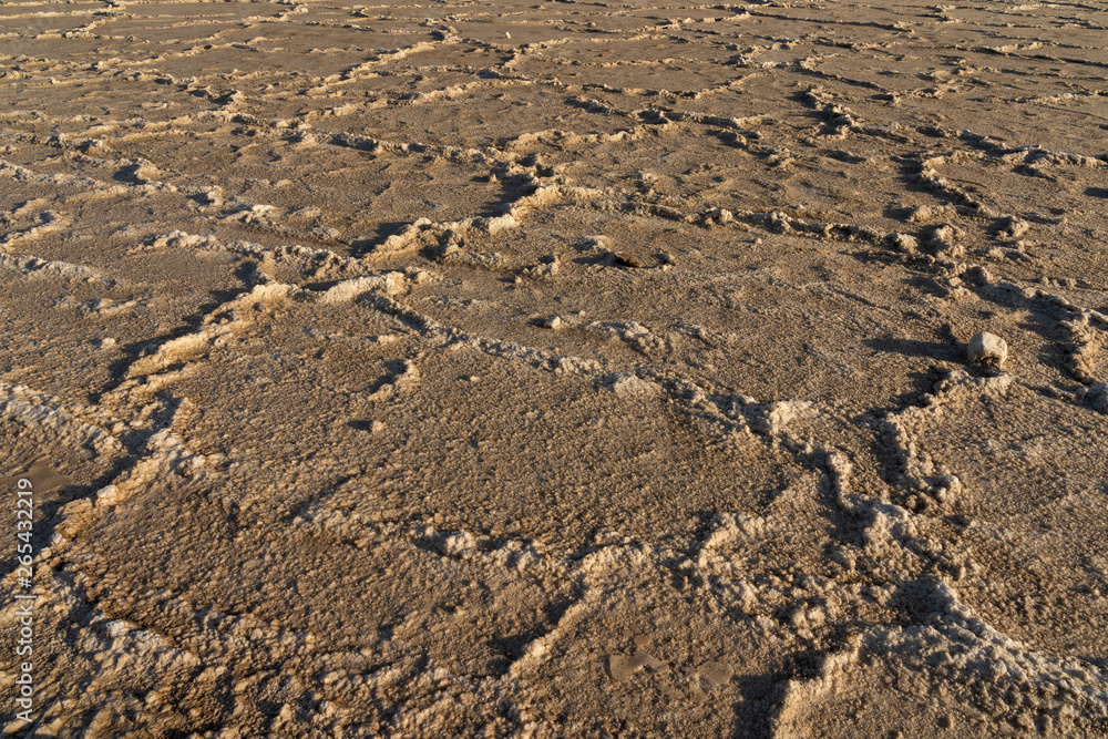 The salt plains of Asale Lake in the Danakil Depression in Ethiopia, Africa The salt plains of Asale Lake in the Danakil Depression in Ethiopia, Africa