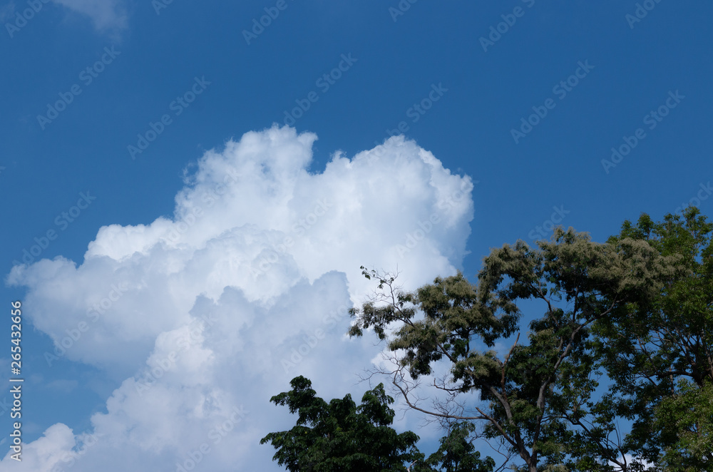 Obraz premium blue sky and clouds