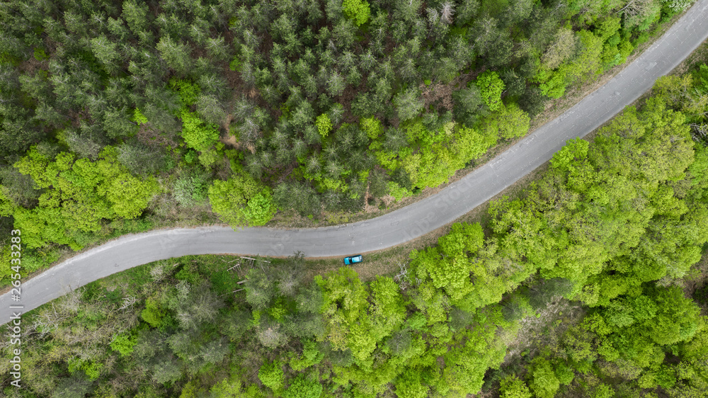 Aerial view of road through forest