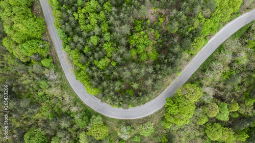 Aerial view of road through forest © niki spasov