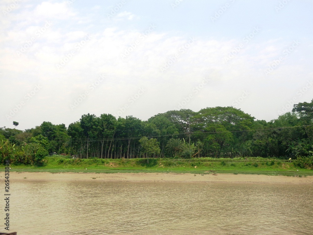 Green trees on the banks of the river Green trees on the banks of the river