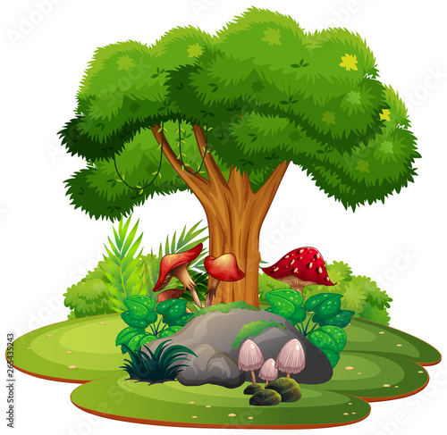 A beautiful nature landscape