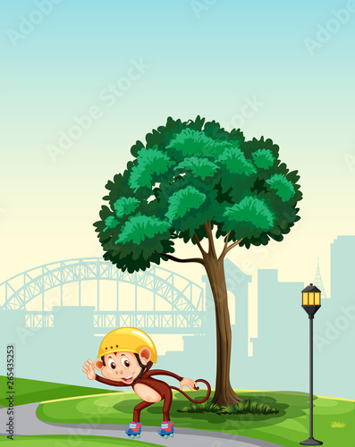 Monkey playing roller skate at the park