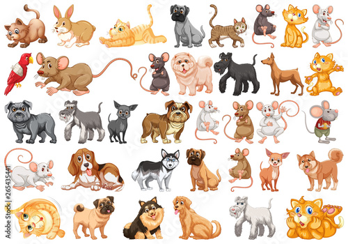 Set of pet character