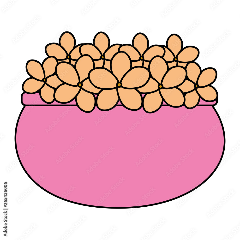 floral decoration in ceramic pot