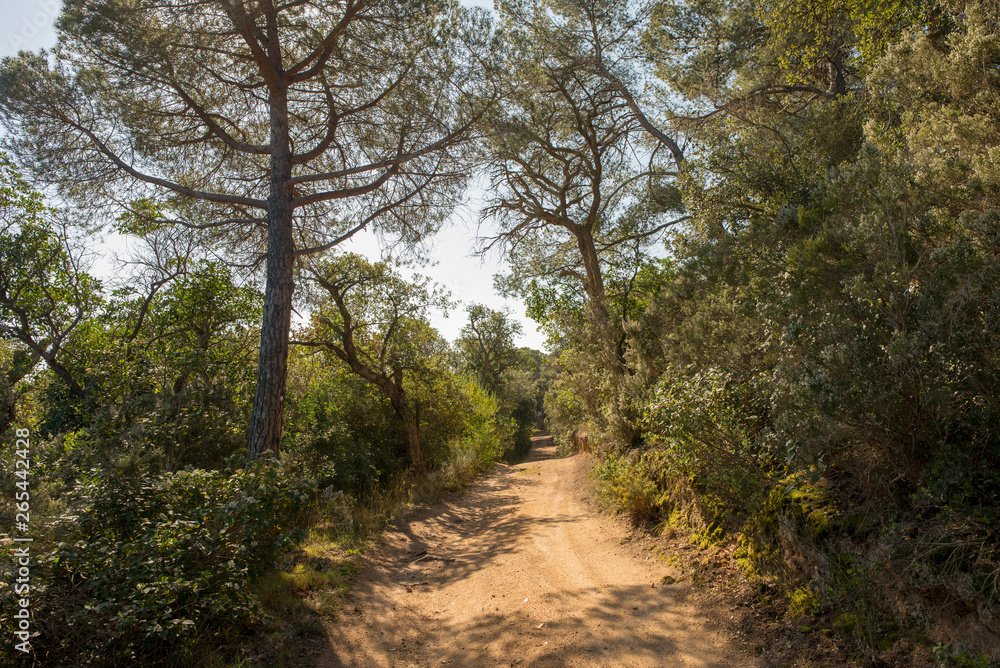 Road to the Moorish cove in Tossa de Mar