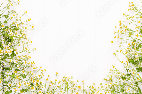 Chamomile flowers floral framee. Flat lay, top view.