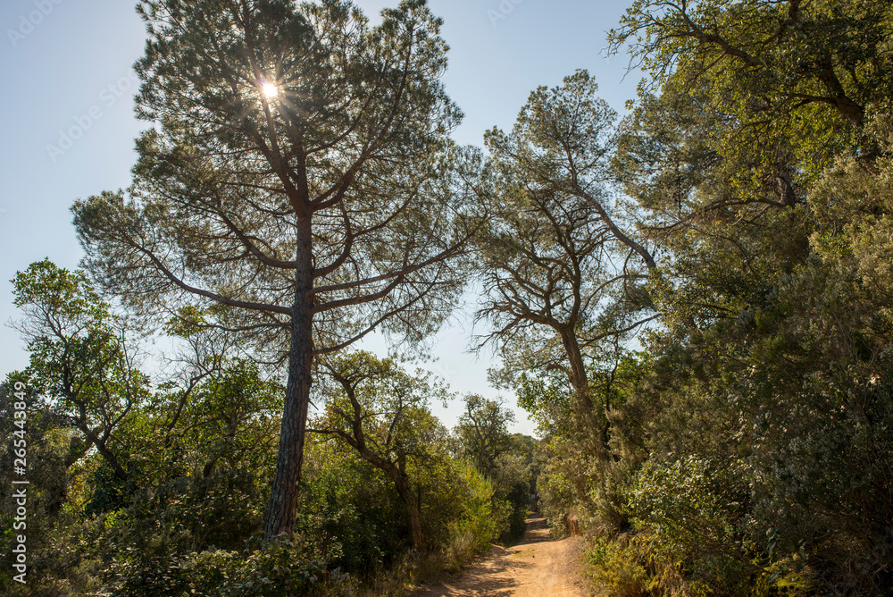 Road to the Moorish cove in Tossa de Mar Road to the Moorish cove in Tossa de Mar