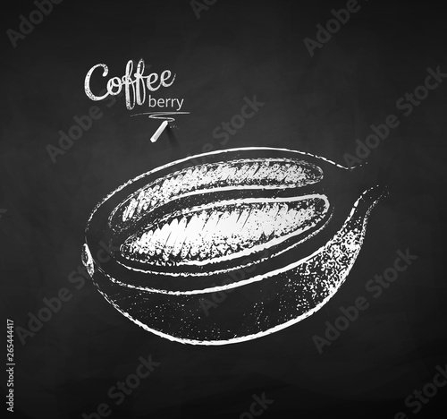 Chalk drawn sketch of half cut coffee berry