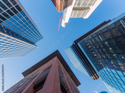 Frankfurt city with skyline from below
