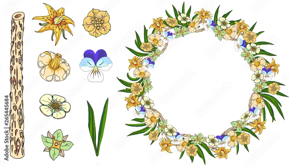 A wreath of spring plants and young flowers. Set of floral elements.