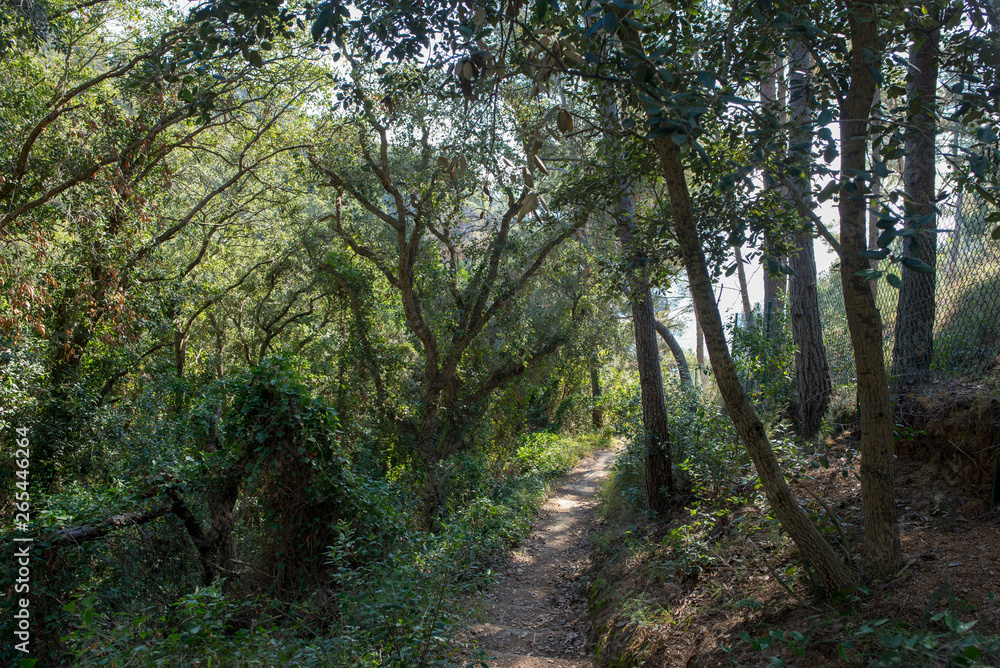 Road to the Moorish cove in Tossa de Mar Road to the Moorish cove in Tossa de Mar