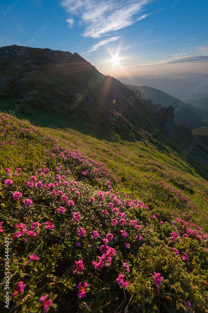 Majestic sunrise in summer mountains Majestic sunrise in summer mountains