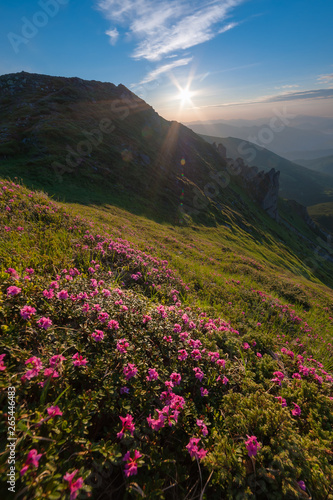 Majestic sunrise in summer mountains