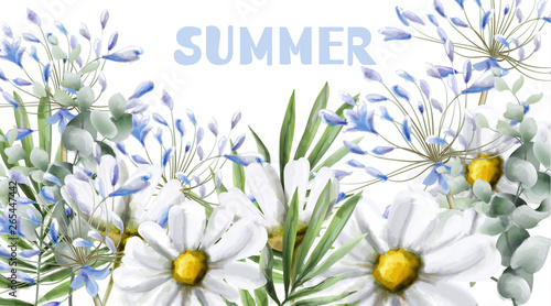 Chamomile summer card Vector watercolor. Vintage flowers white colors. Delicate frame decors