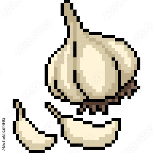vector pixel art garlic