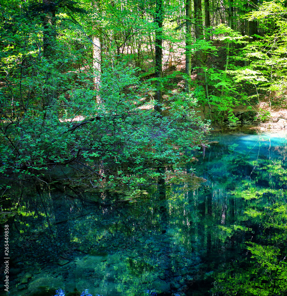River source in the mountainous forest River source in the mountainous forest
