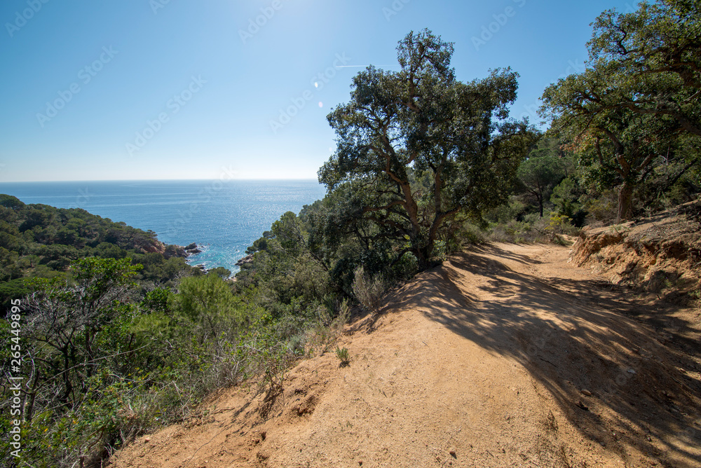 In the Morisca cove of Tossa de Mar, Costa brava