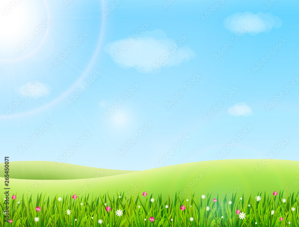 Summer meadow landscape with green grass, flowers, hills and sun. Vector illustration