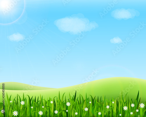Summer meadow landscape with green grass, flowers, hills and sun. Vector illustration