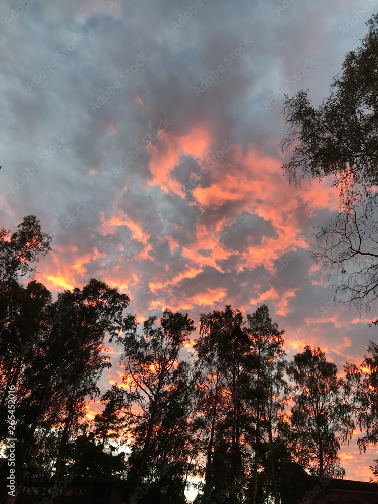 Fototapeta premium fire in the sky