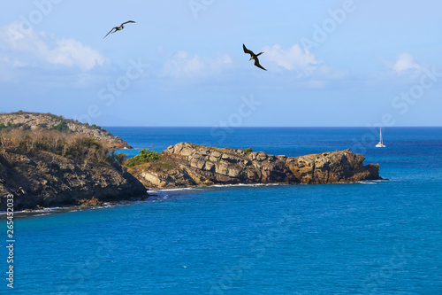Coast Line and Entrance to Port of Antigua with Frigate Birds and a Sail boat in the background. View from a cruise ship.
