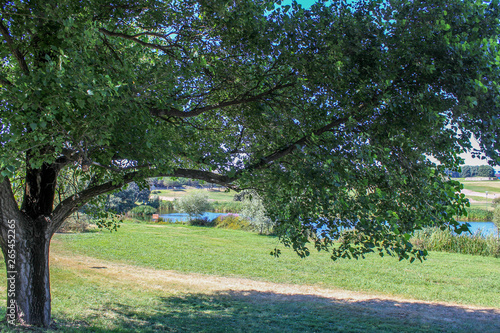 Wallpaper Mural Porto, Portugal Torontodigital.ca