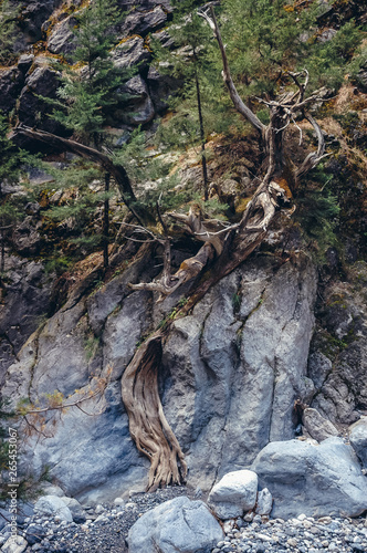 Rocks in Samaria Gorge National Park of Greece on Crete island