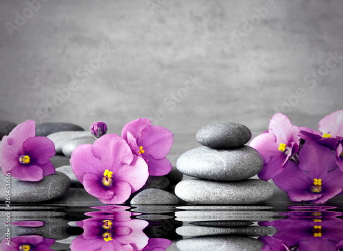 Pink flower and stone zen spa on grey background