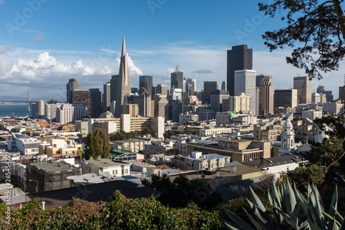 The view of the modern skyline of San Francisco from Russian Hill, bright blue sky, framed by trees