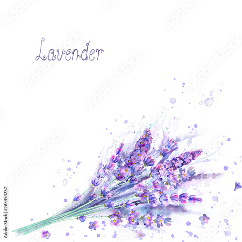 Watercolor lavender bouquet. Lavender flowers, plants and watercolour splashes on white background