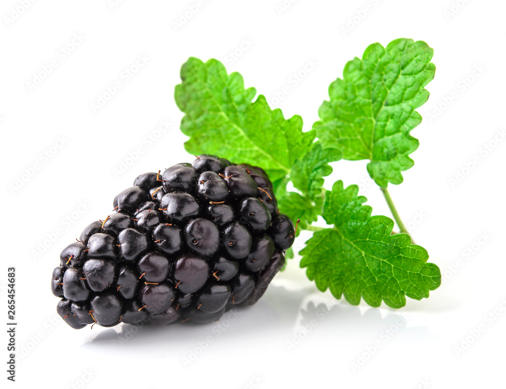 Closeup shot of fresh blackberries. Isolated on white Closeup shot of fresh blackberries. Isolated on white