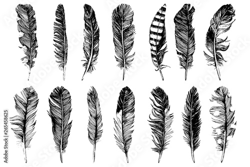 14 hand drawn feathers isolated on white background