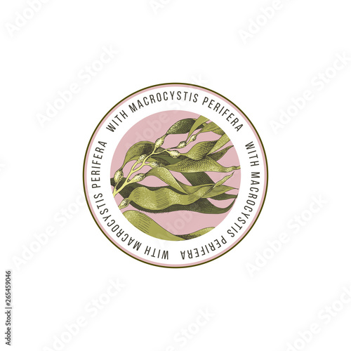 Round emblem with hand drawn macrocystis seaweed