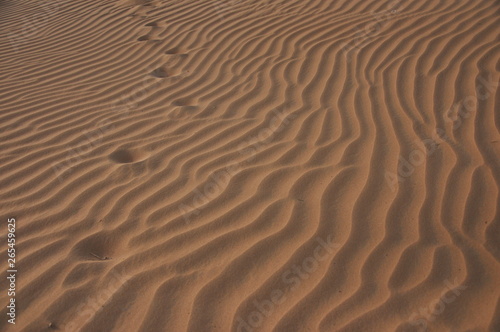 ripples in the sand © Ankur